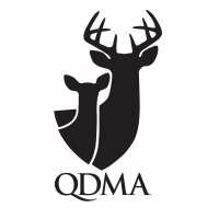 QDMA