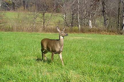 Creating a Convenient CWD Narrative Doesn’t Help