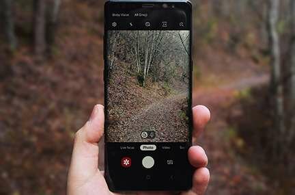 Unintended Consequences: The Comedy and Tragedy of Smartphones in the Deer Woods