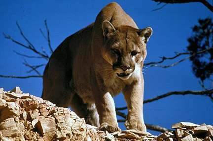 Action Alert: Voice Your Opinion on Utah H.B. 125