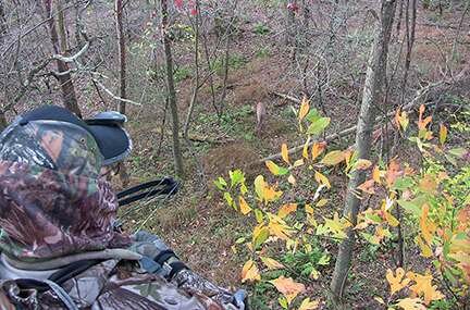 Be Grateful for Deer Hunting Memories Made