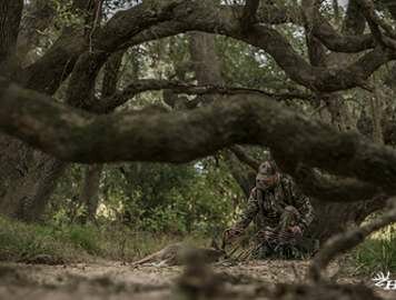 Action Alert: Florida Fish and Wildlife Conservation Commission Issues Draft CWD Rule Amendment